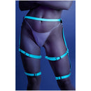 Buckle Up Leg Harness