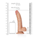 Curved Realistic Dildo With Balls And Suction Cup