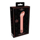 Royal Gems Jewel Rechargeable Abs Bullet