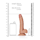 Curved Realistic Dildo With Balls And Suction Cup