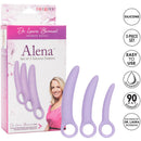 Dr. Laura Berman Alena Set Of 3 Silicone Dilators