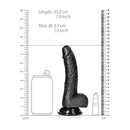 Curved Realistic Dildo With Balls And Suction Cup