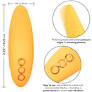 California Dreaming Hollywood Hottie