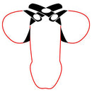 Leather Figure 8 Cock & Ball Divider