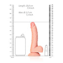 Curved Realistic Dildo With Balls And Suction Cup